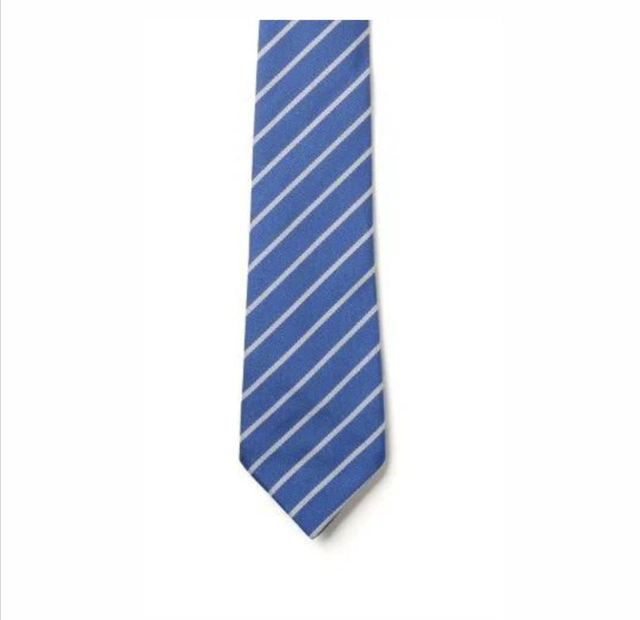 School tie 