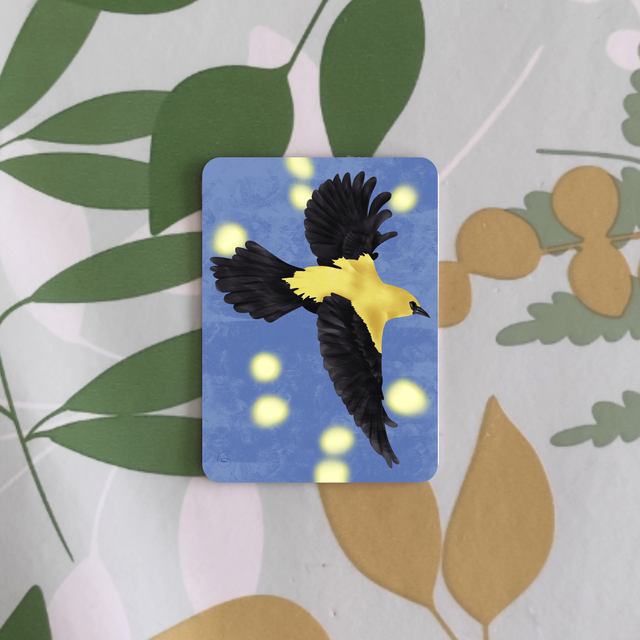 Oiseaux