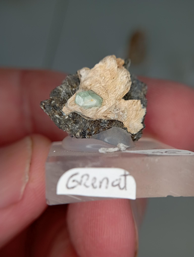 Grenat vert sur sa gange 