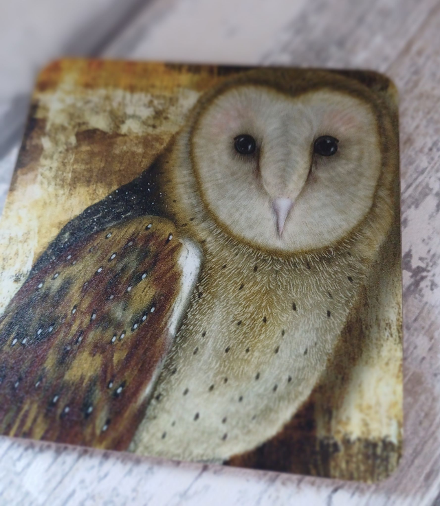 Barn owl coaster