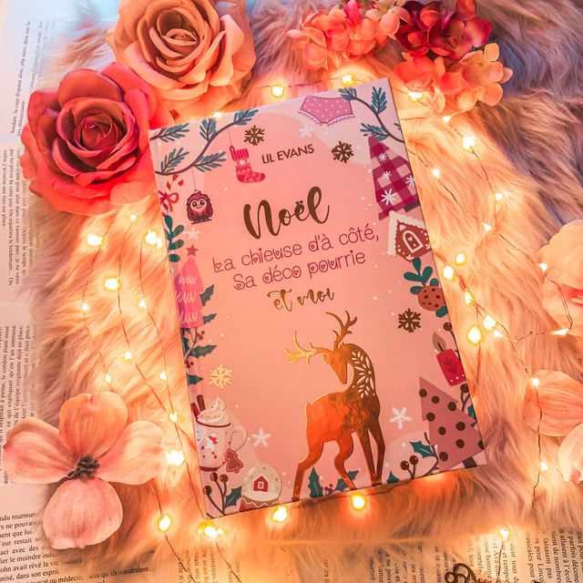 Y - Relié collector Noël, la chieuse d'à côté, sa déco pourrie et moi