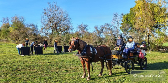 Balade en calèche &amp; duo activité sportive.
