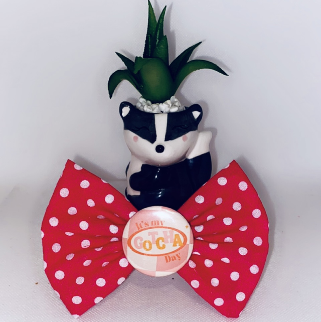 It’s my gotcha day bow 