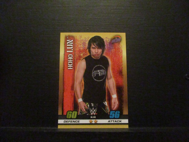 HoHo Lun - W 205 Live Slam Attax 10th Edition Original Trading Card #233