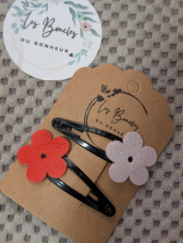 Barrettes b002