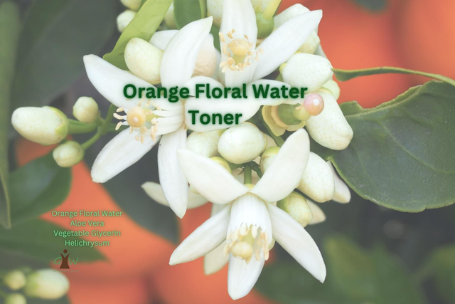 Orange Floral Water Toner Dry Skin