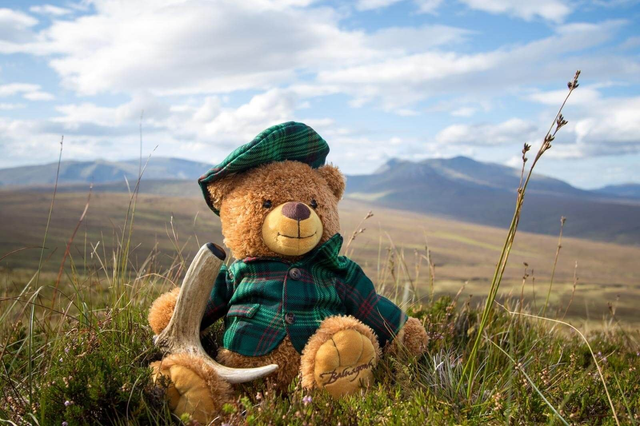 Fergus- The Balnagown Bear 