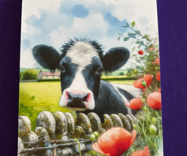 Plain Note Pad Cow Black/White