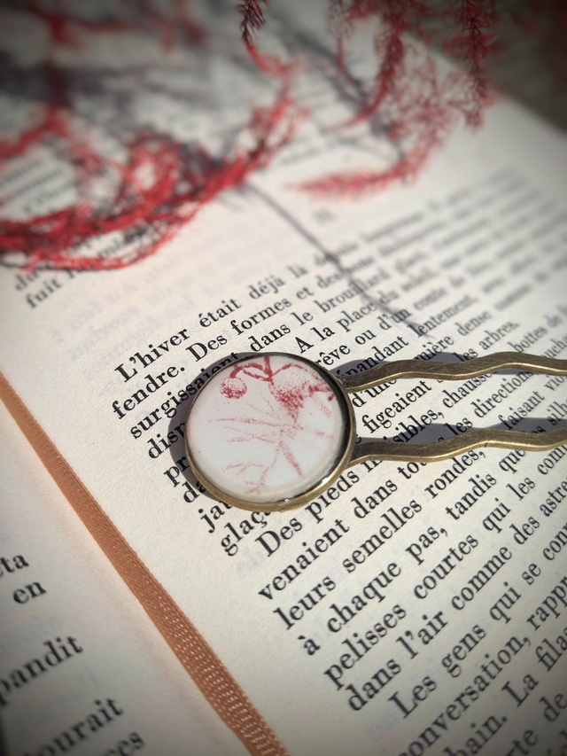 Pic à cheveux BELLE de MAI