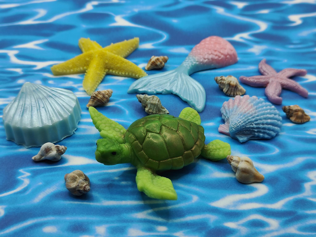 🌊 Coffret "Grandes Merveilles Des Mers"