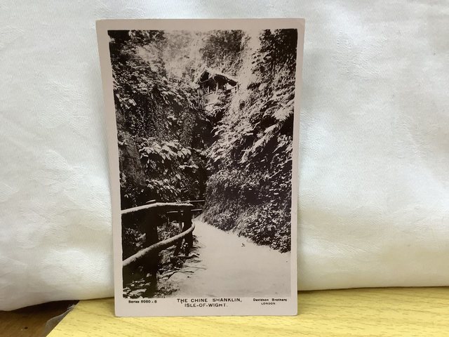 The Chine, Shanklin, Isle of Wight, Davidson Brothers Vintage Postcard. Our Ref No. R599 £2.25