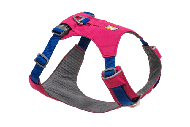 Hi&Light Harness