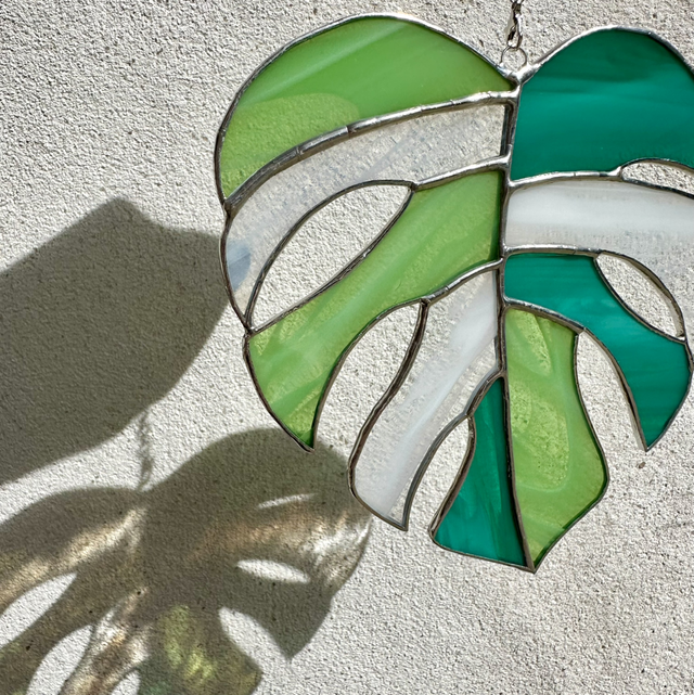 Feuille Monstera (verte et blanche)