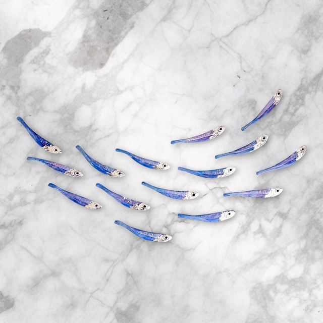 Art Fish Classic 15 pieces