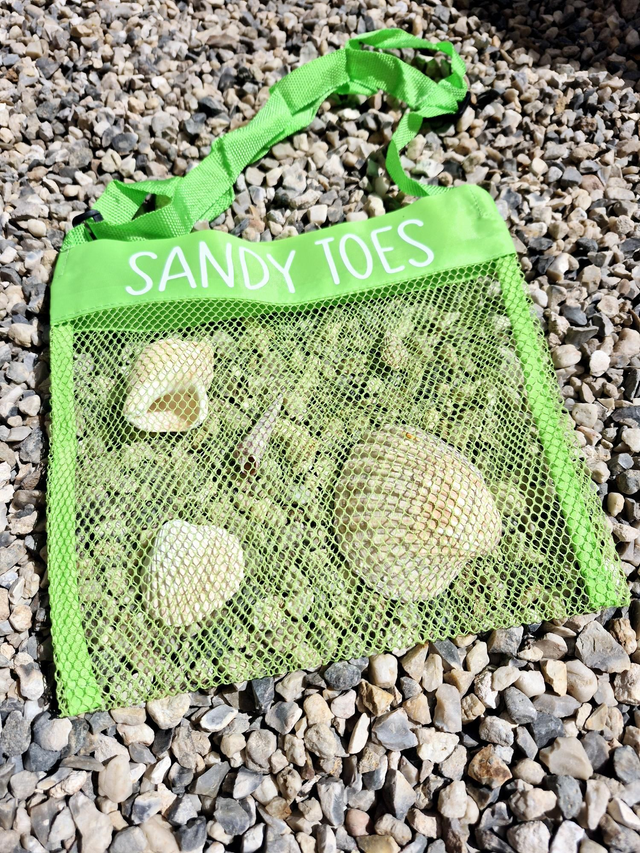 Green Mesh Beach Bag