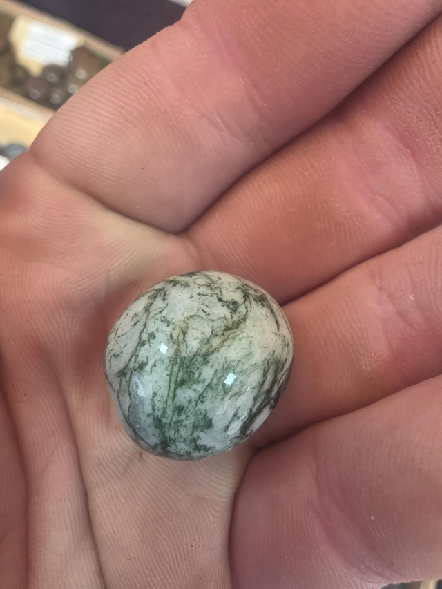 Moss/tree agate tumblestone