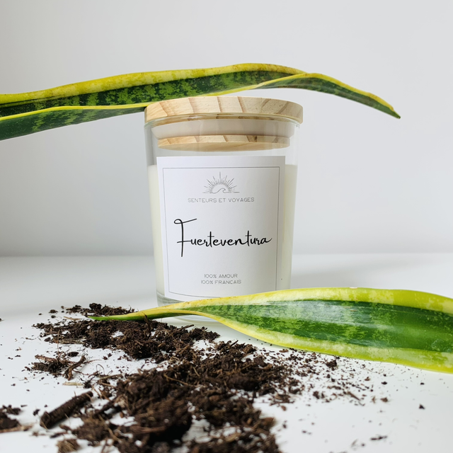 BOUGIE FUERTEVENTURA 