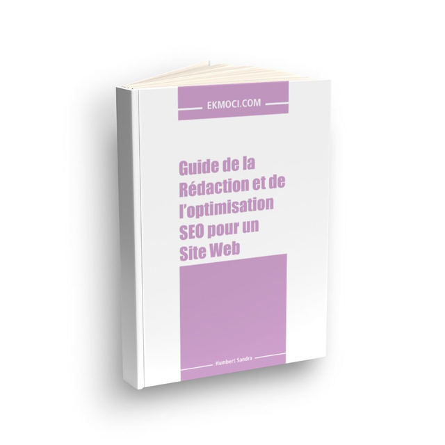 GUIDE DE LA RÉDACTION ET DE L’OPTIMISATION SEO POUR UN SITE WEB (Ebook)