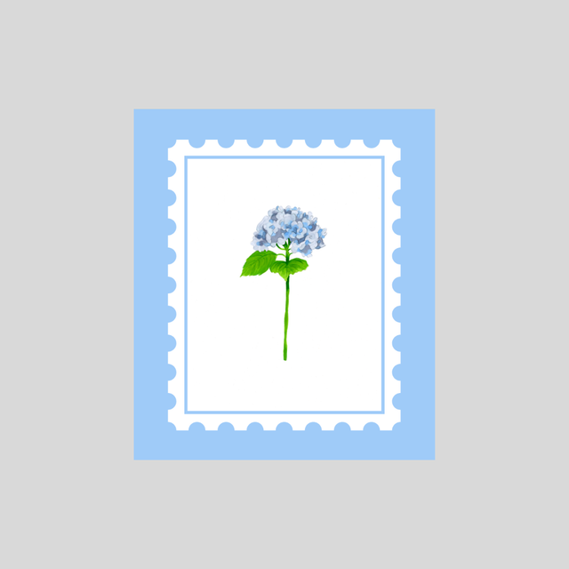 Stickers - Hortensia