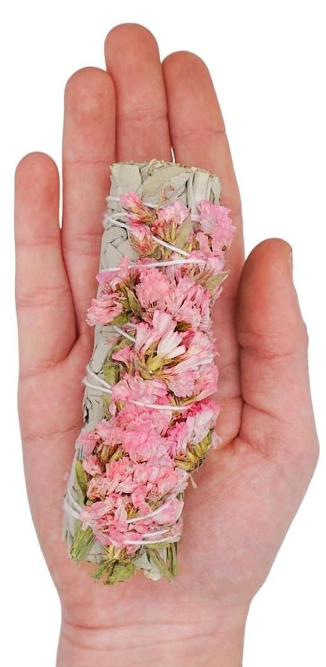 Sauge fleur se sinuata