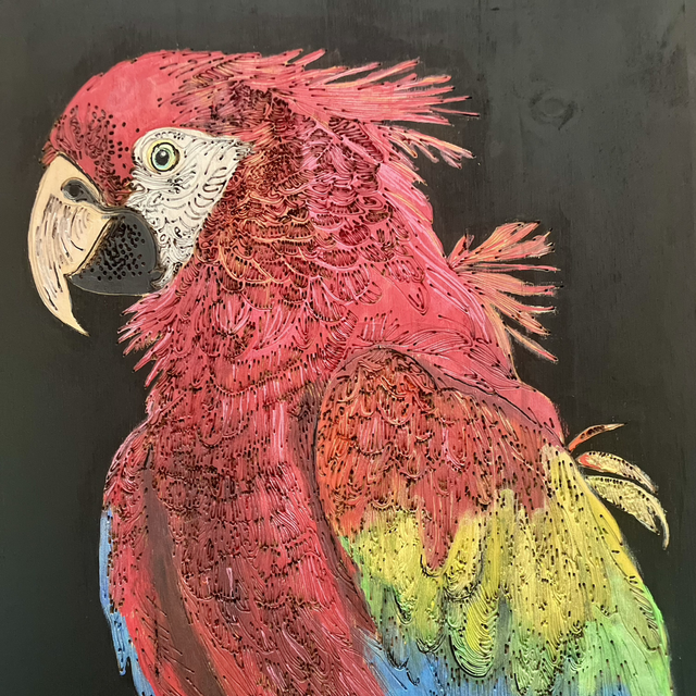 Tableau Perroquet 