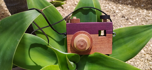 Camara de foto de madera de juguete