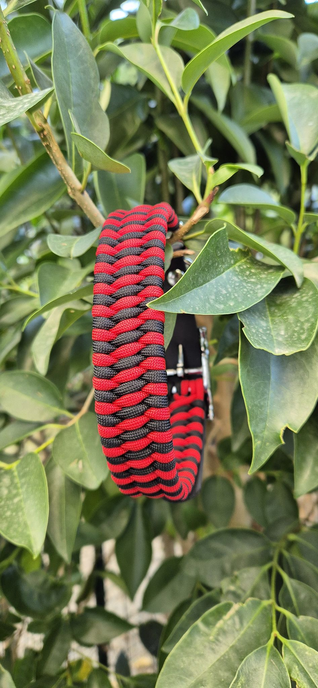 Collier biothane - Taille M