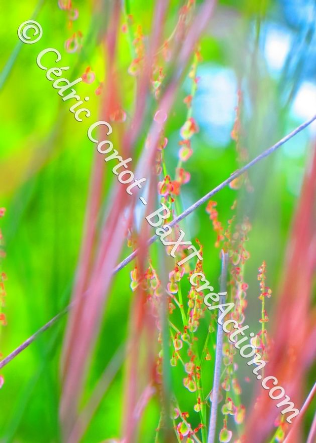 Carte postale - Paysages et divers (Ref IMG_5592)