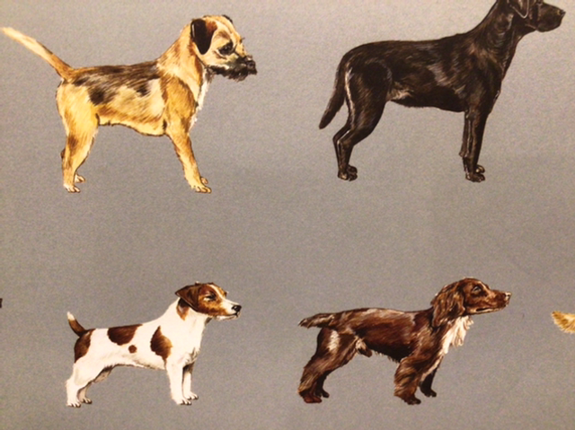 Gift Wrap Rewrapped Dogs 