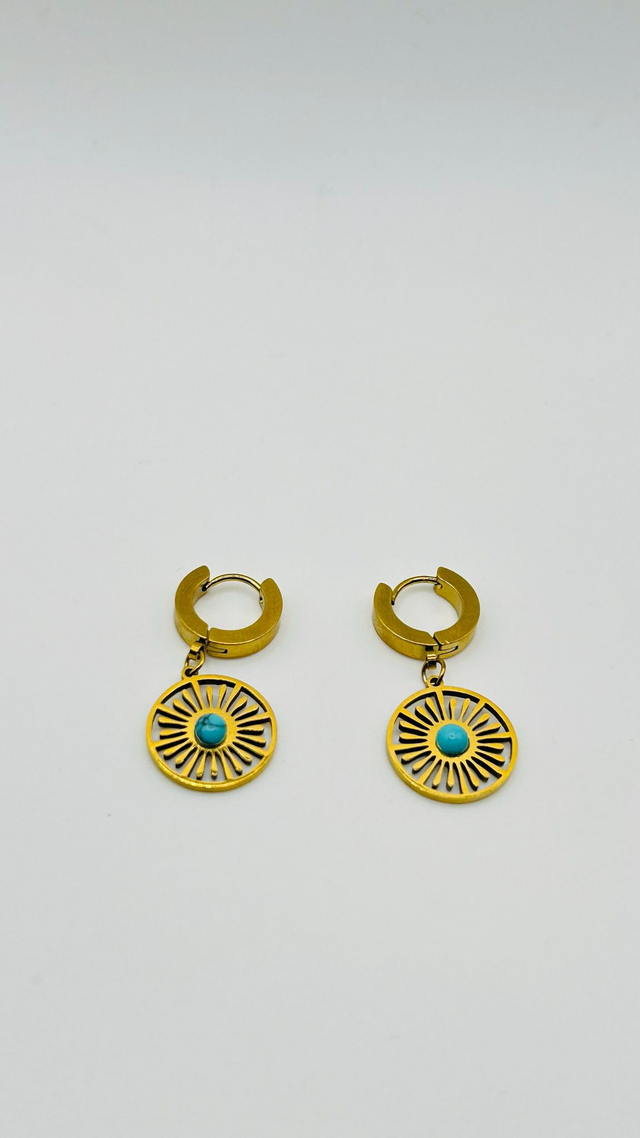 Stainless Steel Earrings (SSE52J)