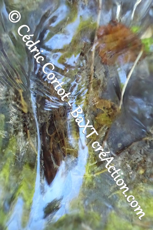 Impression sur alu dibond - Reflets et cours d'Eau (ref P1180714)