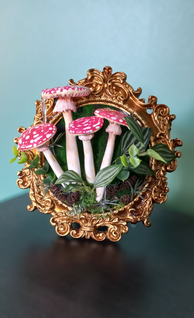 Cadre Amanites rouges