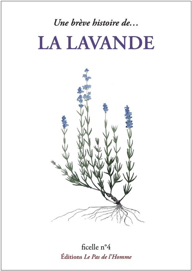 Ficelle n°4 : Une brève histoire de la lavande