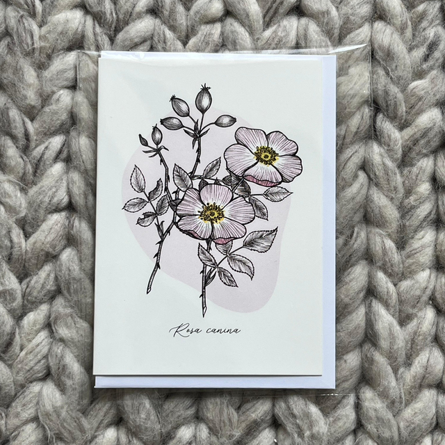 Greeting card Dog rose