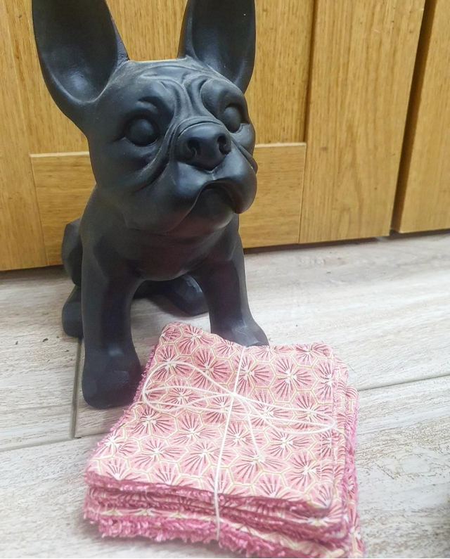 Lot de 5 Lingettes Lavables 