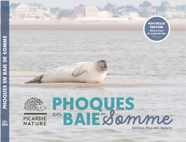 Phoques en Baie de Somme Ed 2025