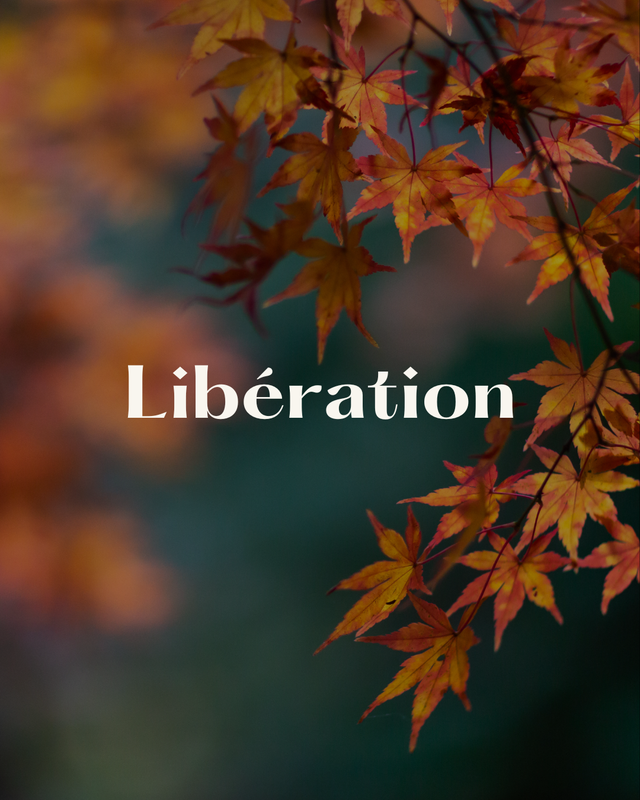 Libération - 3 séances 