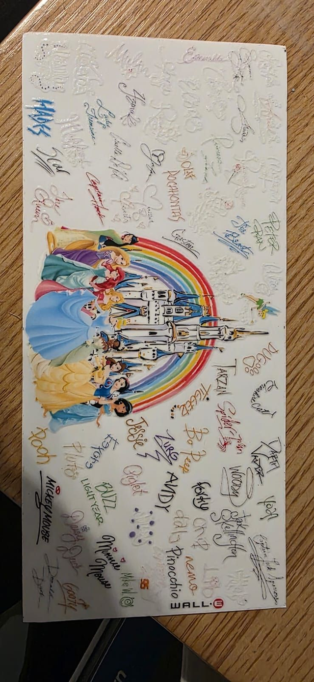 Disney Princess
