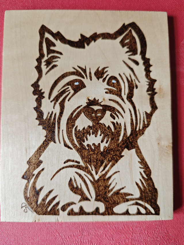 Tableau Westie César 