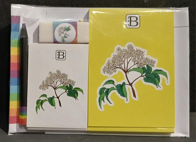 Leggi &amp; Colora - Kit Scrittura - I Fiori di Catia n. 2 - Sambuco