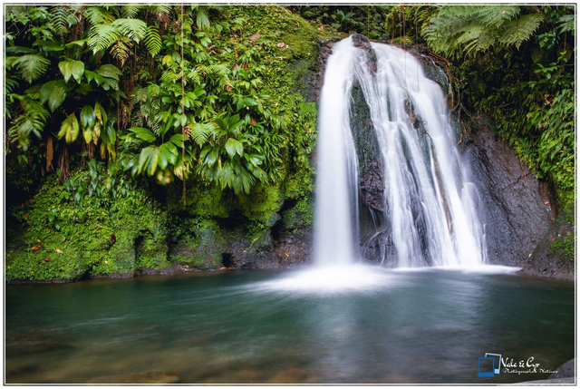 Tirage d'art : Cascade Écrevisse Guadeloupe