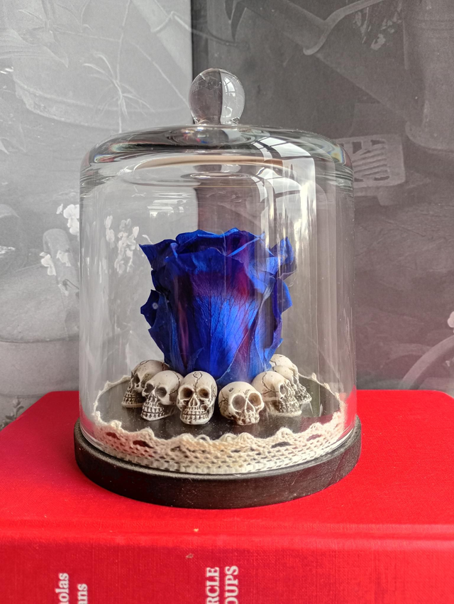 D05 Rose bleu sur crâne