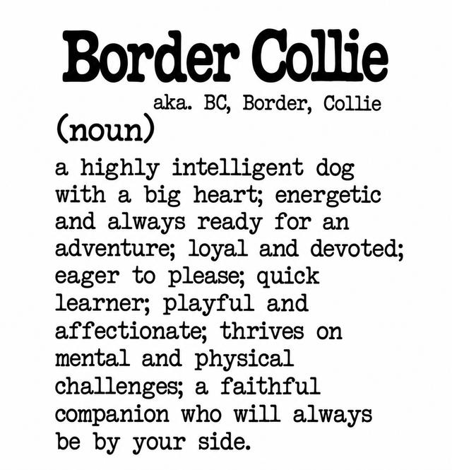 Dog Breed Definition Mug – Border Collie | Funny Dog Lover Gift