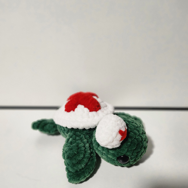 Tortue infirmière