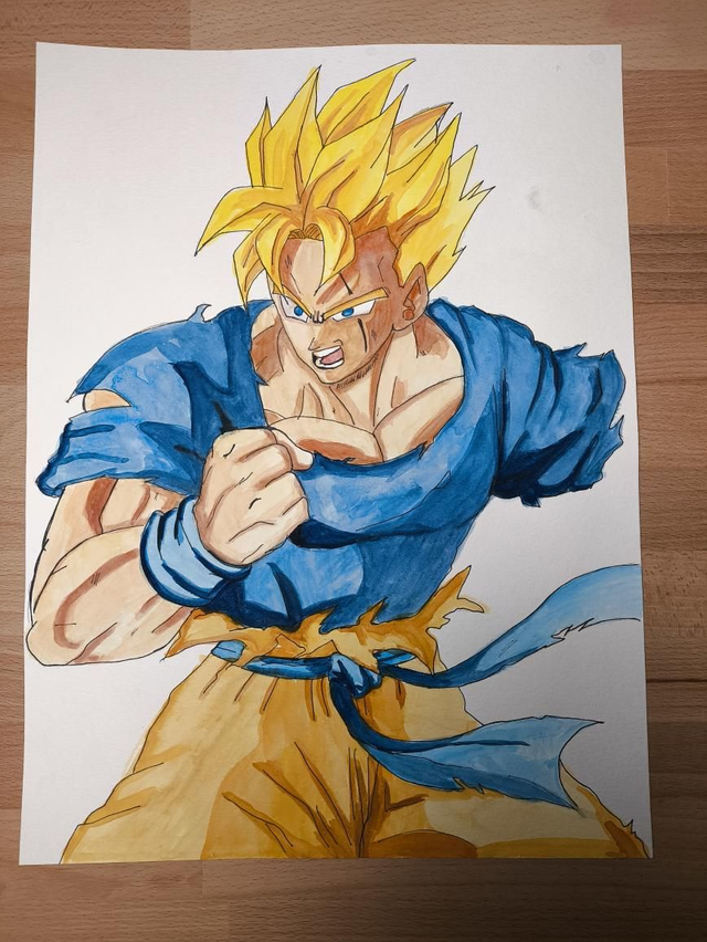 Aquarelle Son gohan A3