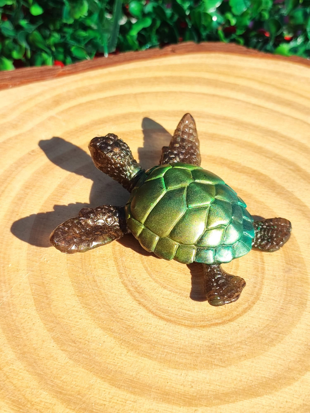 Tortue de mer 