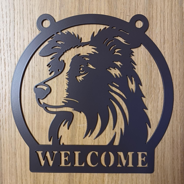 Welcome Border Collie