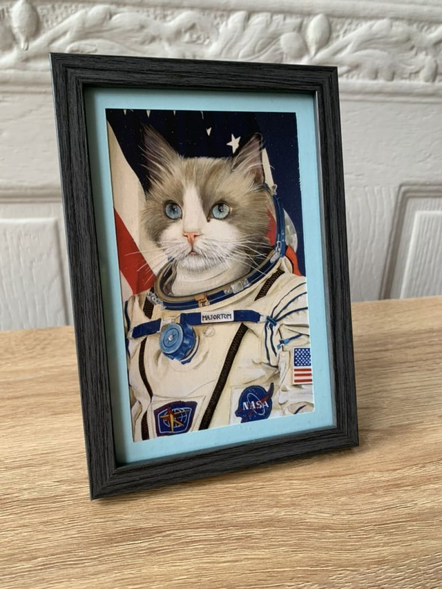 Cadre photo Major Tom