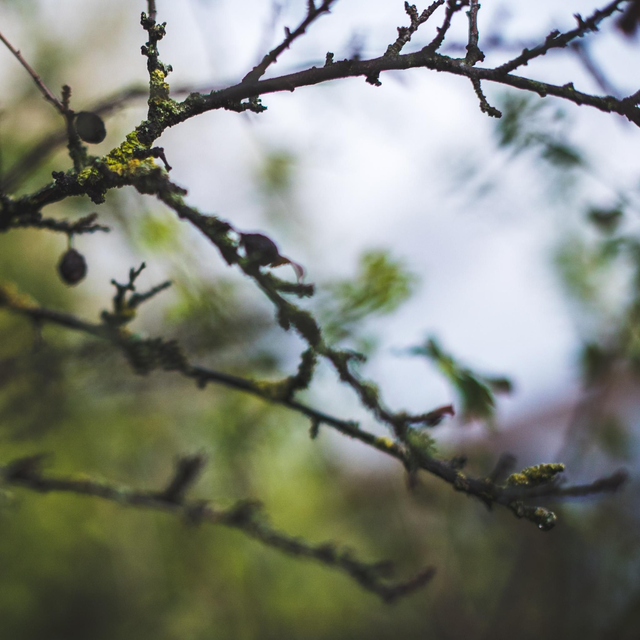 Tirage photo "25 novembre 2022"