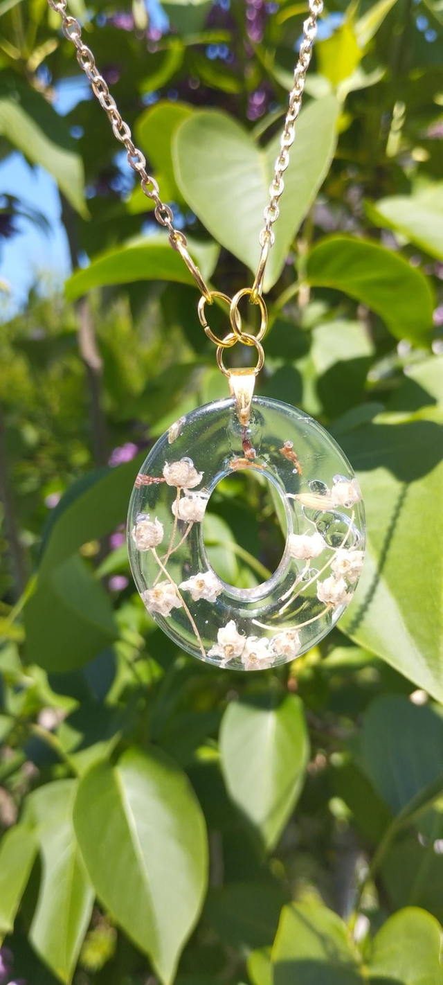 Végétalisman - Lueur collective